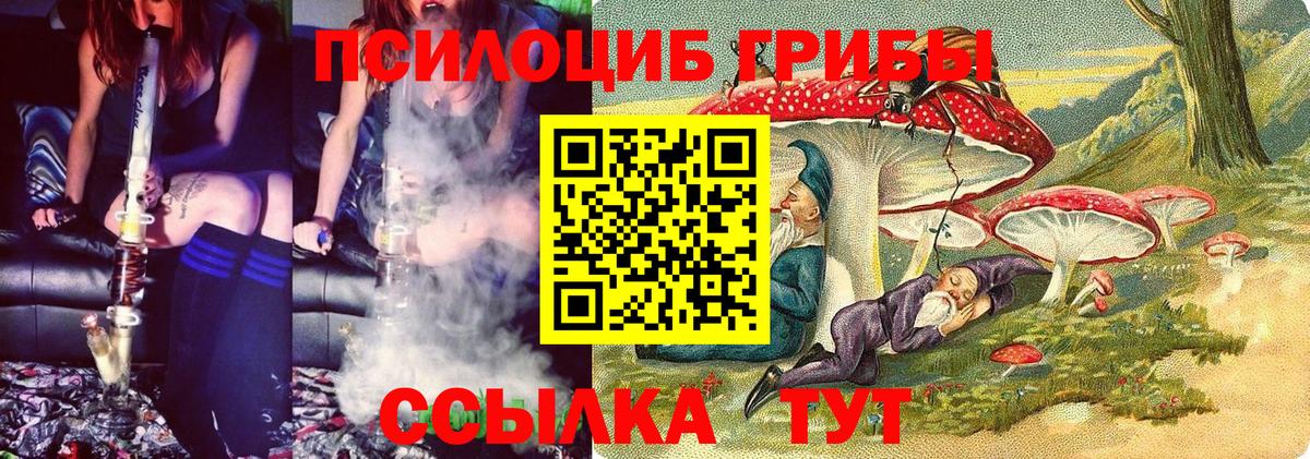 Галлюциногенные грибы прущие грибы  Вход с VPN  Галлюциногенные грибы прущие грибы  Джанкой 